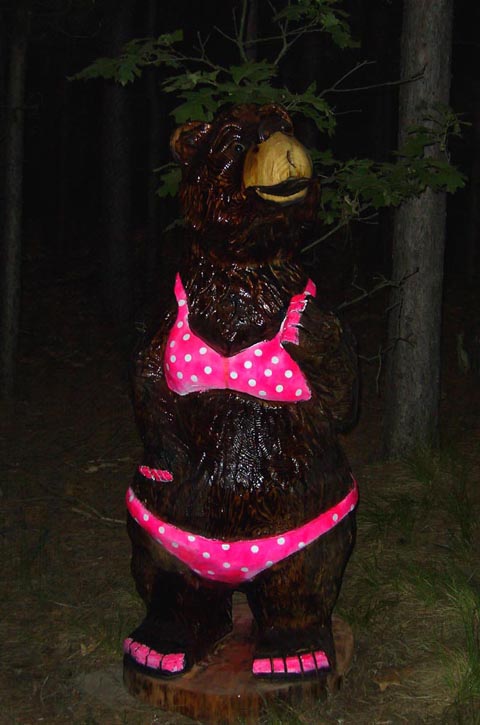 Bear In Swim Suit